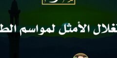سلسلة شهر رمضان للشيخ أحمد عبدالمنعم – لا يجب أن تفوتك